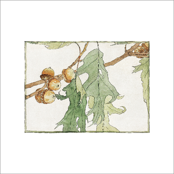 Framed Print Framed Print