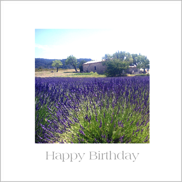 Birthday Card Birthday Card