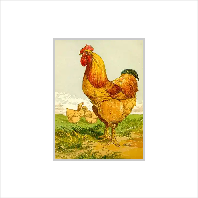Framed Print Framed Print