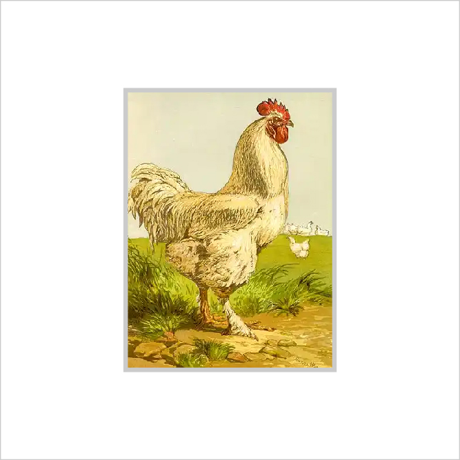 Framed Print Framed Print