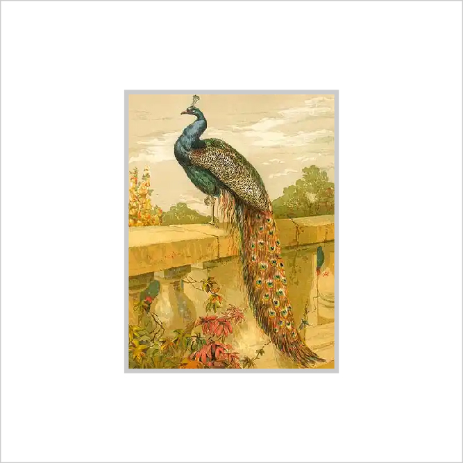 Framed Print Framed Print
