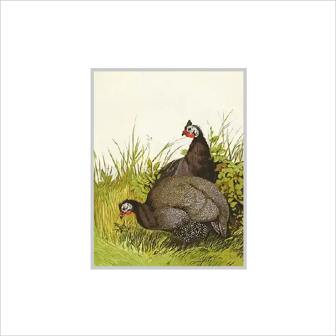 Framed Print Framed Print