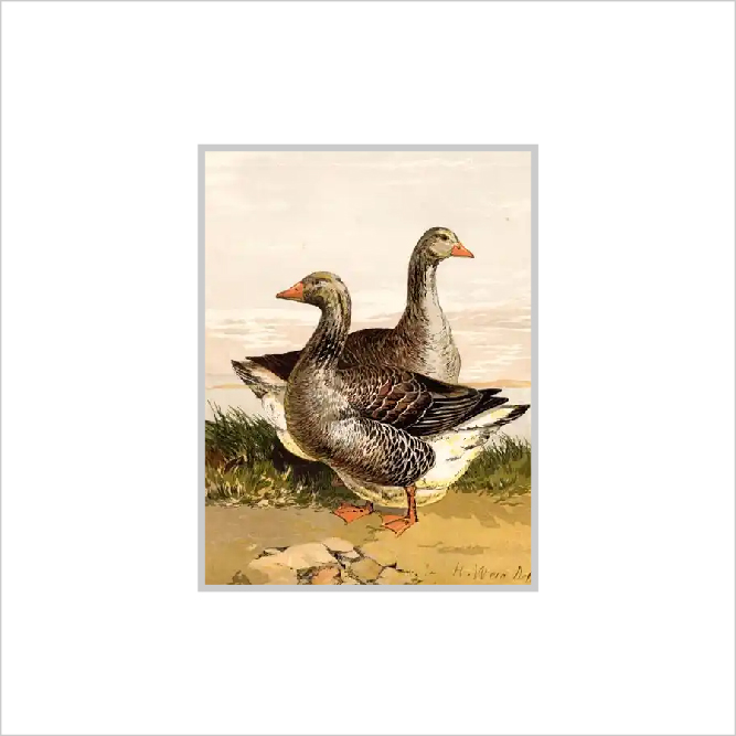 Framed Print Framed Print