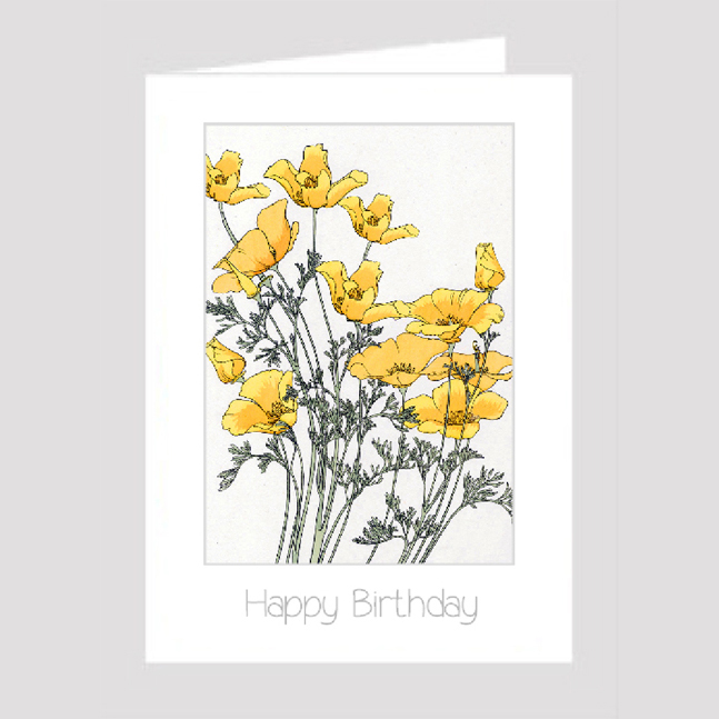 Birthday Card