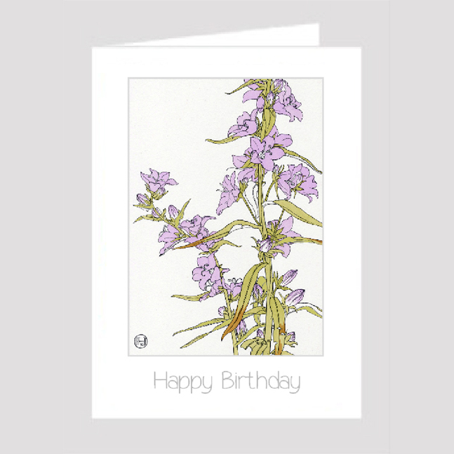 Birthday Card