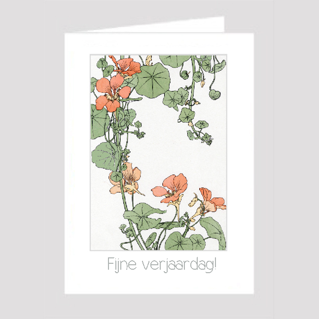 Birthday Card Birthday Card