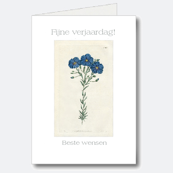 Birthday Card Birthday Card