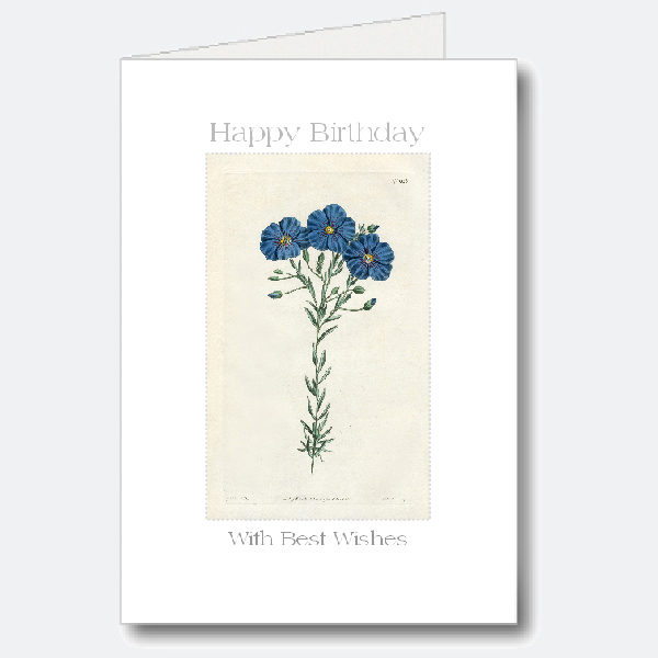Birthday Card