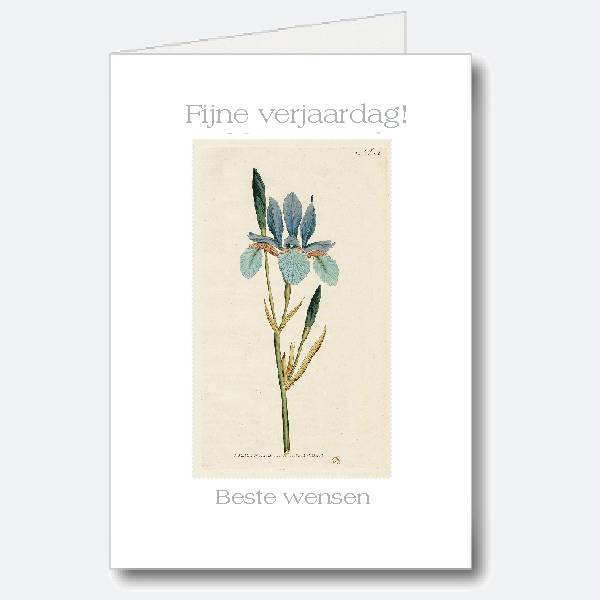 Birthday Card Birthday Card
