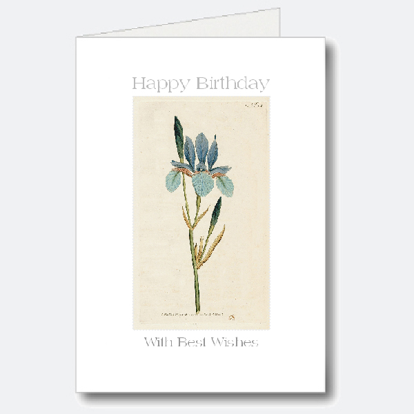 Birthday Card