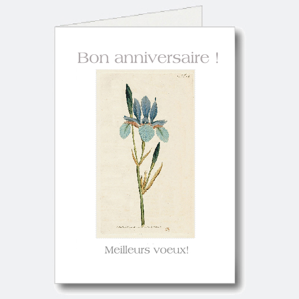 Birthday Card
