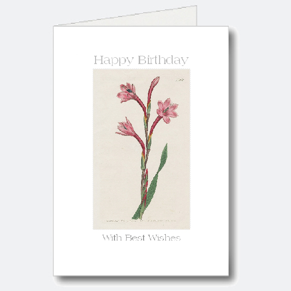 Birthday Card