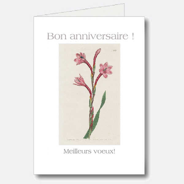 Birthday Card