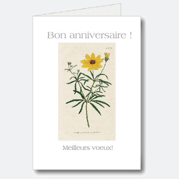 Birthday Card