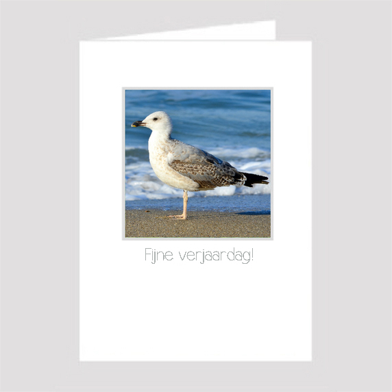 Birthday Card Birthday Card