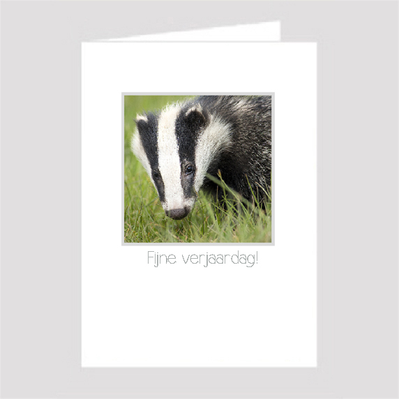 Birthday Card Birthday Card