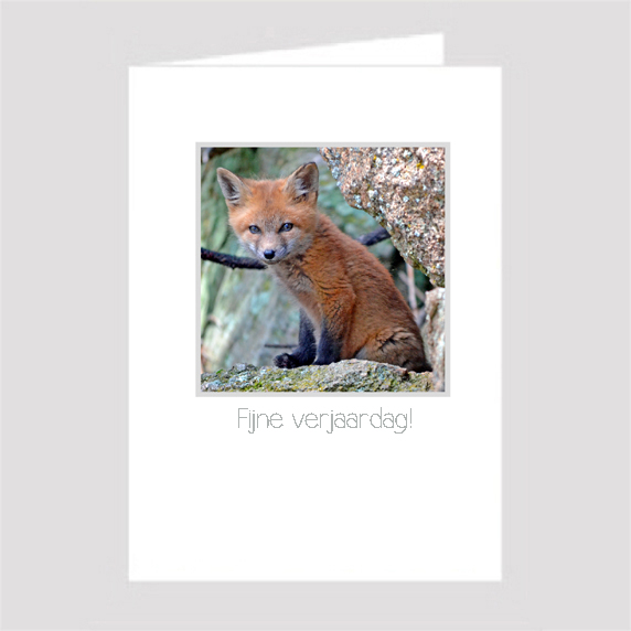 Birthday Card Birthday Card