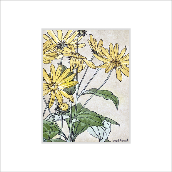 Framed Print Framed Print