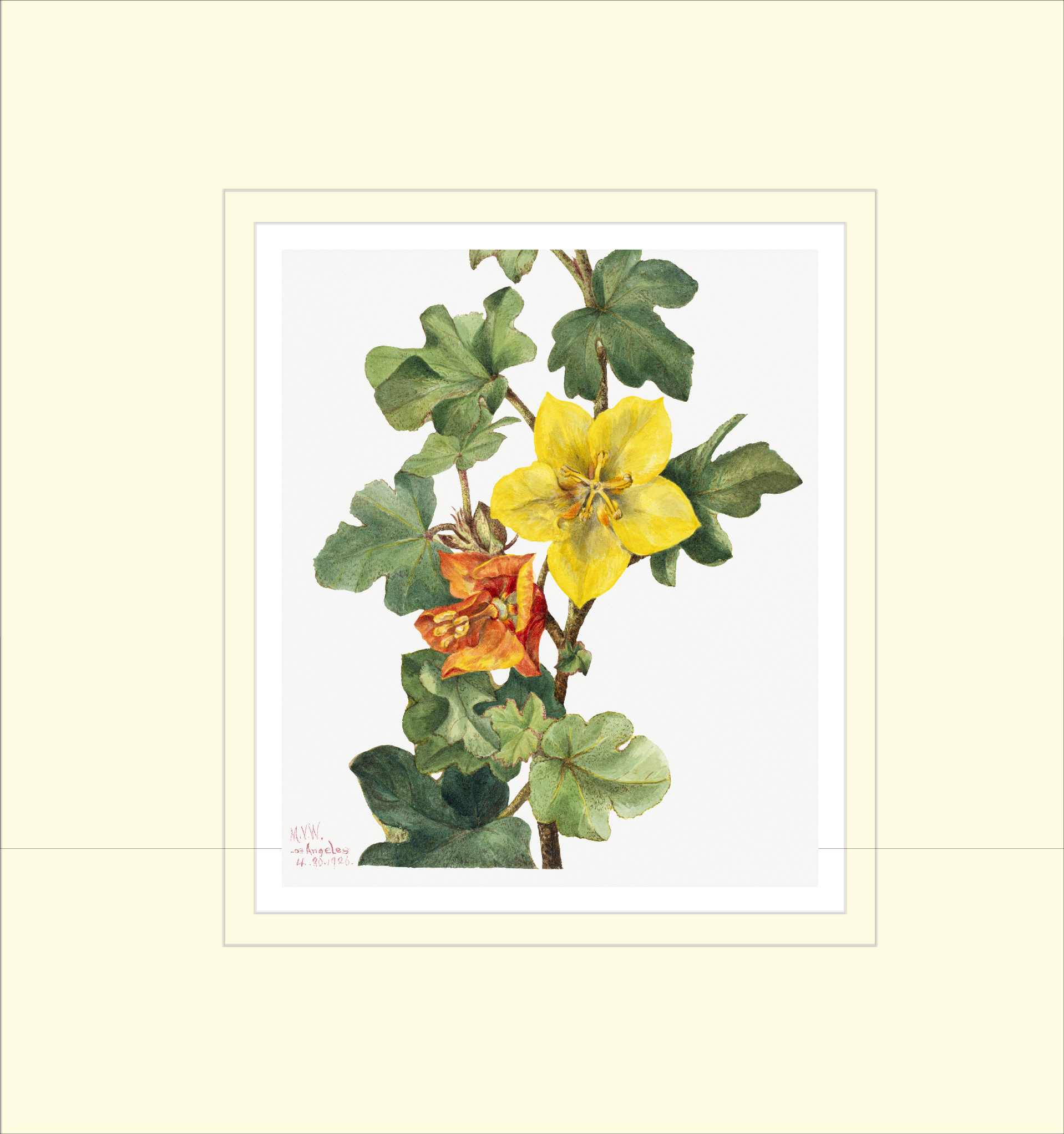 Framed Print Framed Print