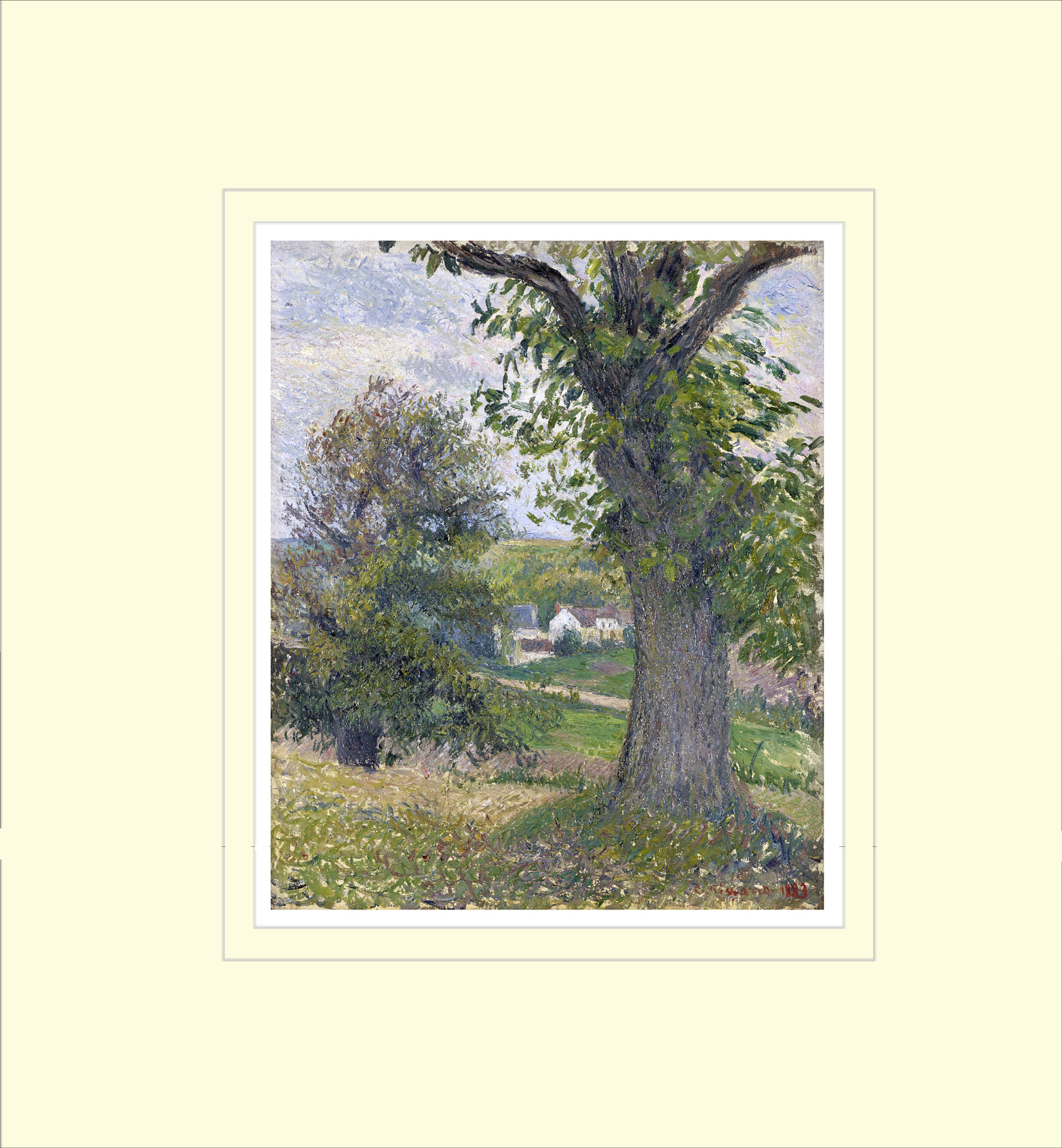 Framed Print Framed Print