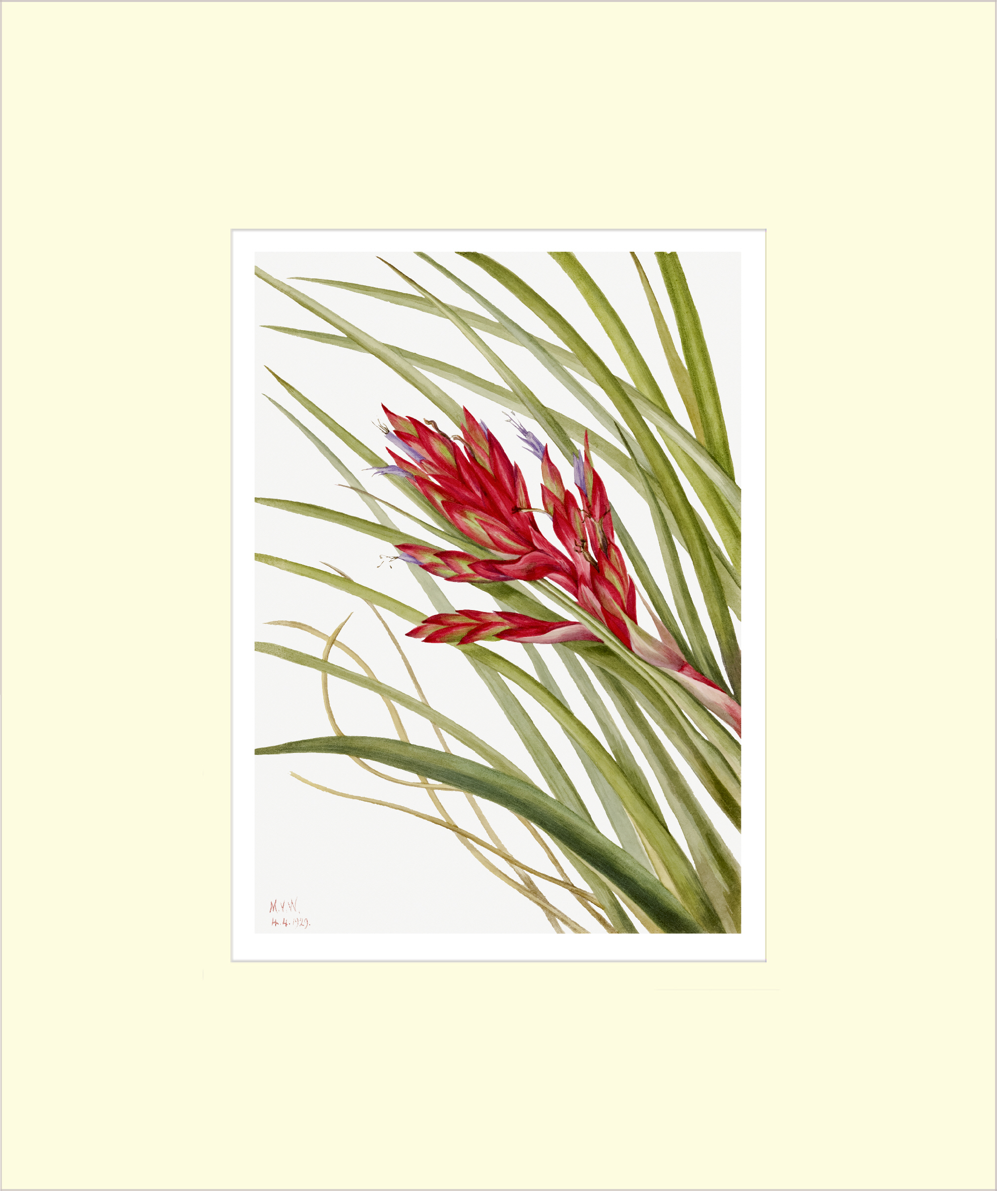 Framed Print Framed Print