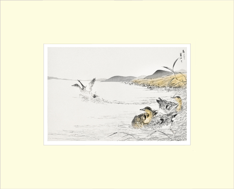 Framed Print Framed Print